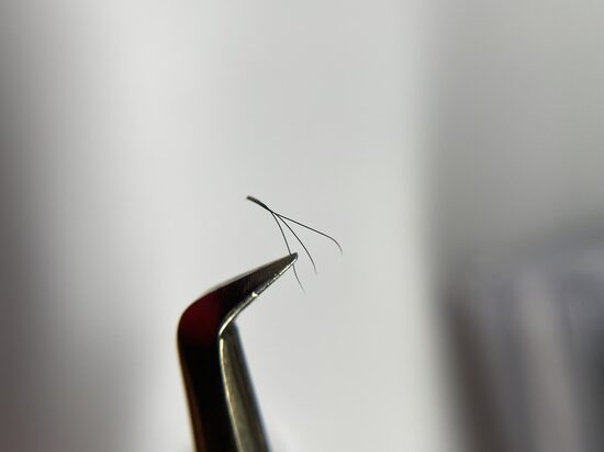 3D NEESMU SAPUCĒJIES!